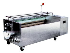 高效便捷 山药清洗机的应用与优势