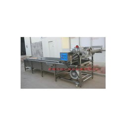 果蔬清洗机选购指南 第40页机械设备深度解析